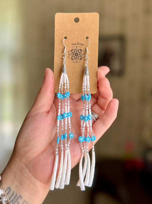 Baby Blue Dentalium Beauties